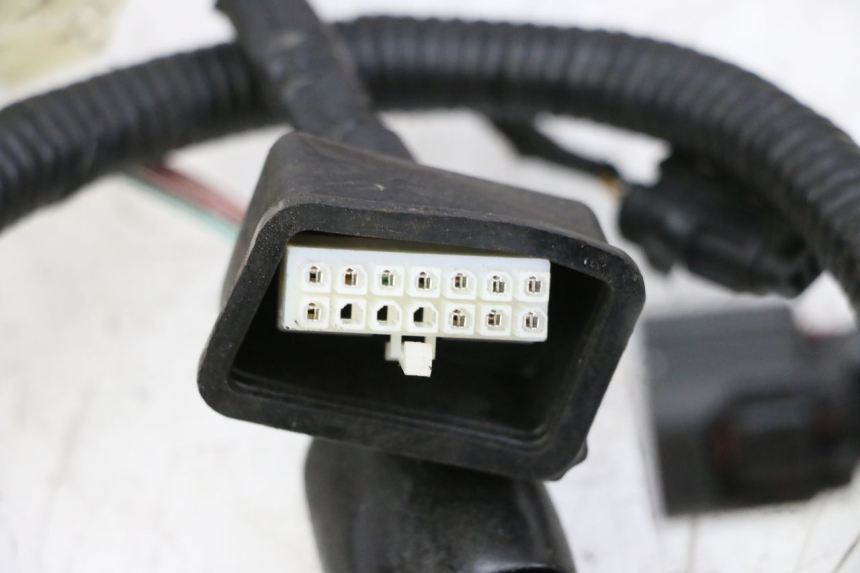 photo de FAISCEAU ORCAL CAVARO 4T 50 (2019 - 2023) - Zoom état d’usage