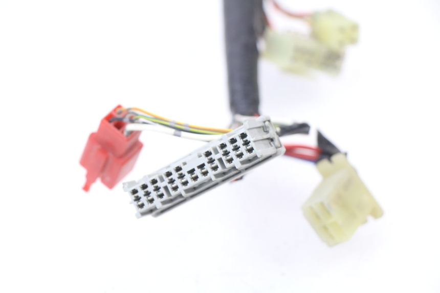 photo de FAISCEAU HONDA CBR 929 RR FIREBLADE 900 (2000 - 2001) - Vue rapprochée