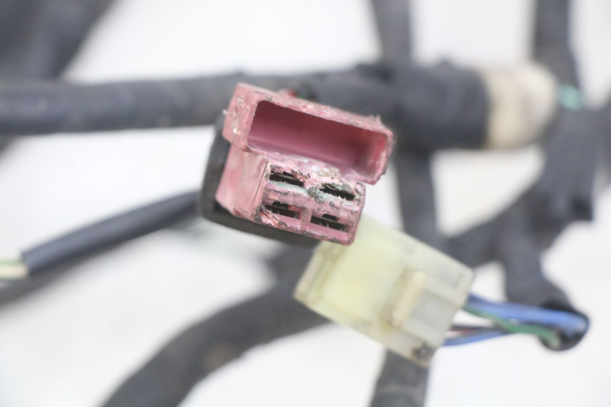 photo de FAISCEAU HONDA CBR F SC25 1000 (1989 - 1992) - Détail de la pièce