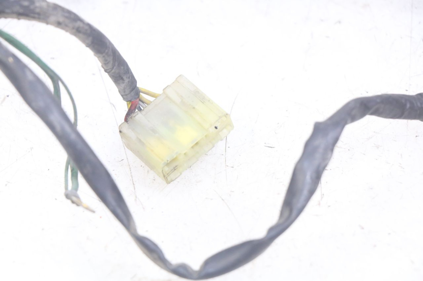 photo de FAISCEAU HONDA CBR F SC25 1000 (1989 - 1992) - Marquages et références