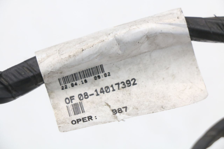 photo de FAISCEAU PEUGEOT CITYSTAR 50 (2013 - 2017) - Zoom état d’usage