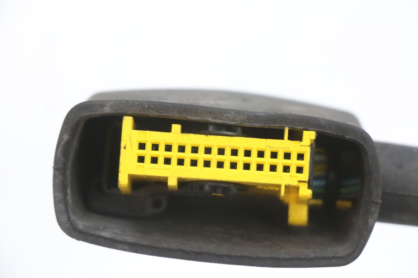 photo de FAISCEAU PEUGEOT CITYSTAR 50 (2013 - 2017) - Gros plan technique