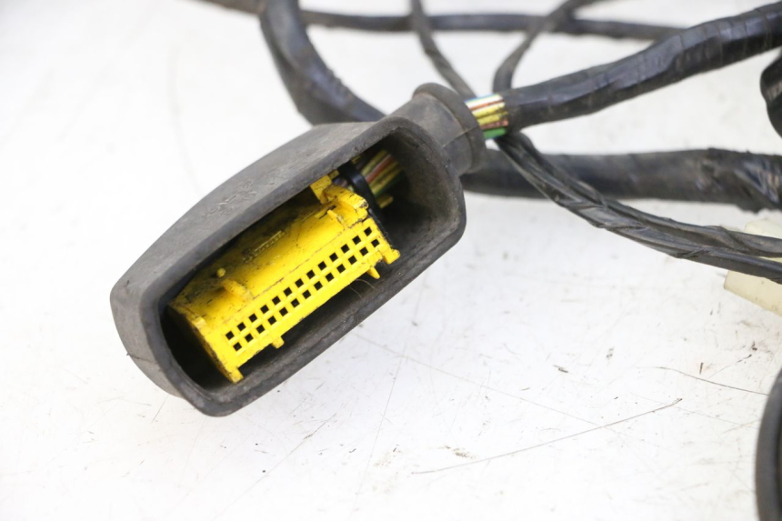 photo de FAISCEAU PEUGEOT CITYSTAR 50 (2013 - 2017) - Vue d’ensemble