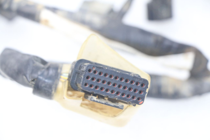 photo de FAISCEAU HONDA CRF 250 (2013 - 2016) - Gros plan technique