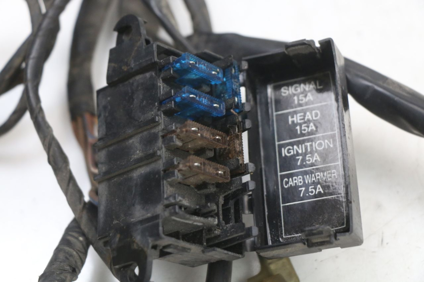 photo de FAISCEAU YAMAHA CYGNUS X 125 (2004 - 2007) - Marquages et références