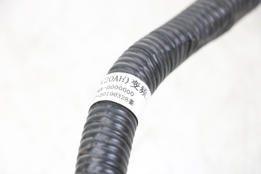 photo de FAISCEAU WAYSCRAL E-START 1 (2018 - 2022) - Détail de la pièce