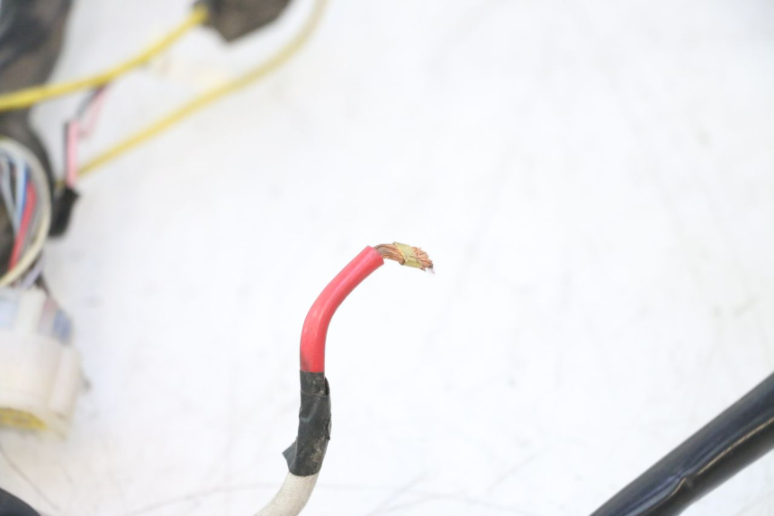 photo de FAISCEAU WAYSCRAL E-START 1 (2018 - 2022) - Marquages et références