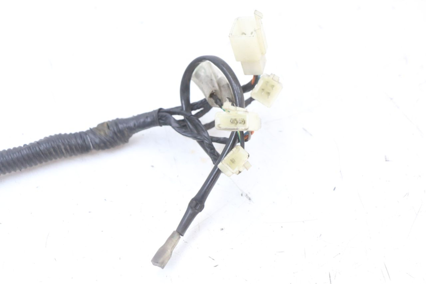 photo de FAISCEAU LONGJIA EASY MAX 125 (2020 - 2024) - Détail de la pièce