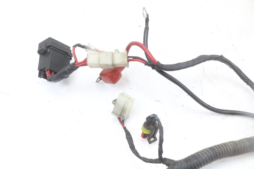 photo de FAISCEAU LONGJIA EASY MAX 125 (2020 - 2024) - Marquages et références