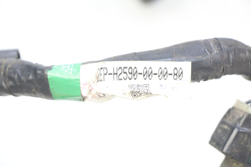 photo de FAISCEAU YAMAHA D'ELIGHT DELIGHT 115 (2013 - 2017) - Gros plan technique