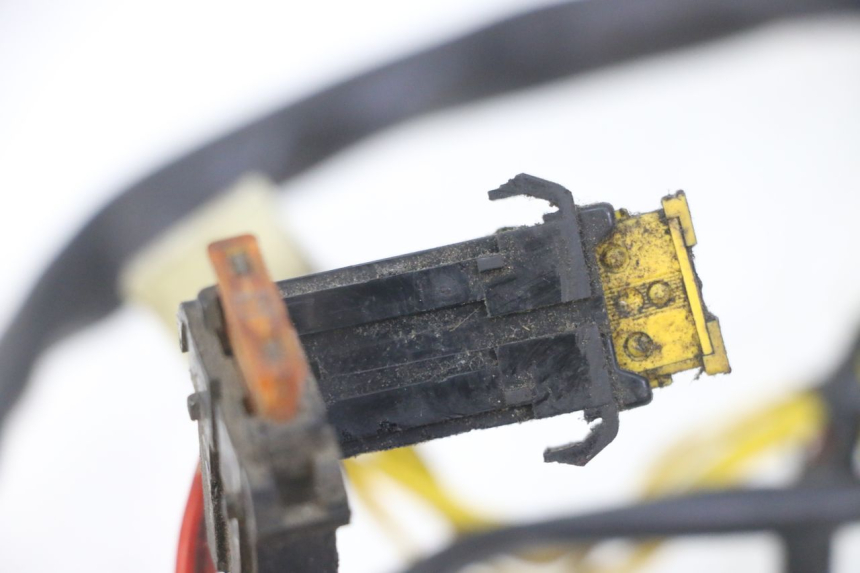 photo de FAISCEAU PEUGEOT ELYSEO 125 (1999 - 2004) - Autre angle de vue