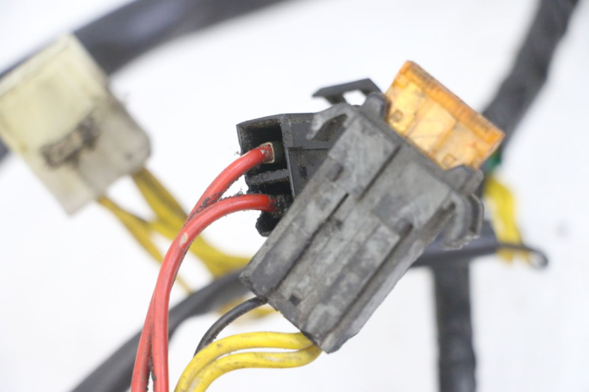 photo de FAISCEAU PEUGEOT ELYSEO 125 (1999 - 2004) - Gros plan technique