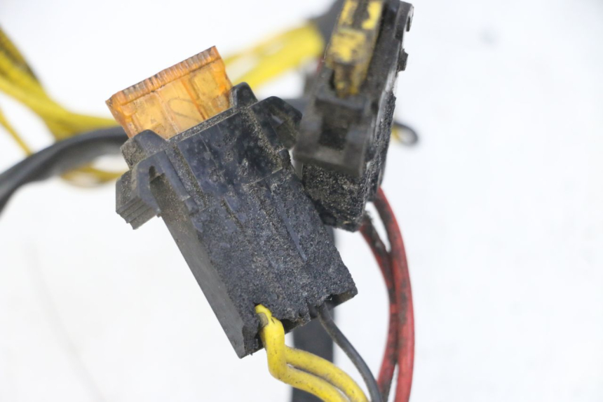 photo de FAISCEAU PEUGEOT ELYSEO 125 (1999 - 2004) - Vue d’ensemble