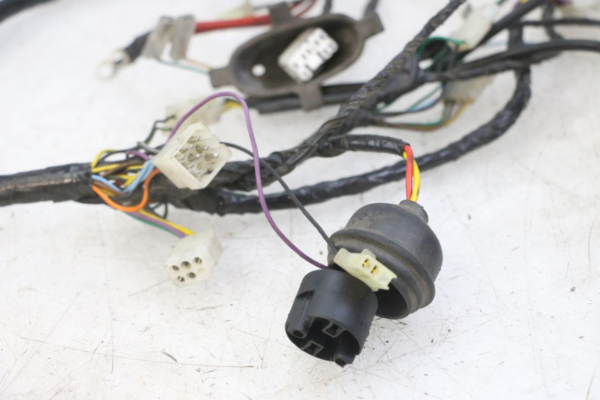 photo de FAISCEAU PEUGEOT ELYSEO 125 (1999 - 2004) - Marquages et références