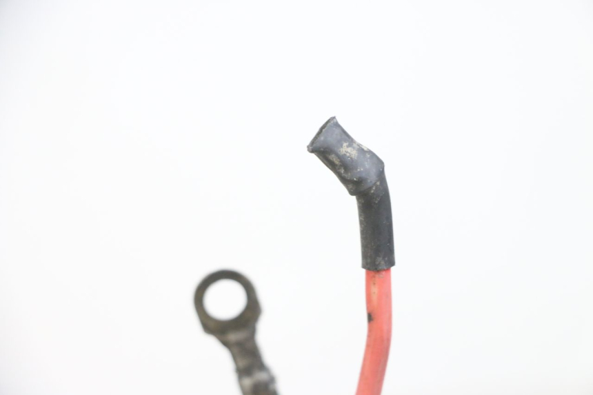 photo de FAISCEAU PEUGEOT ELYSEO 125 (1999 - 2004) - Autre angle de vue