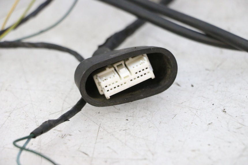 photo de FAISCEAU PEUGEOT ELYSTAR 50 (2002 - 2014) - Gros plan technique