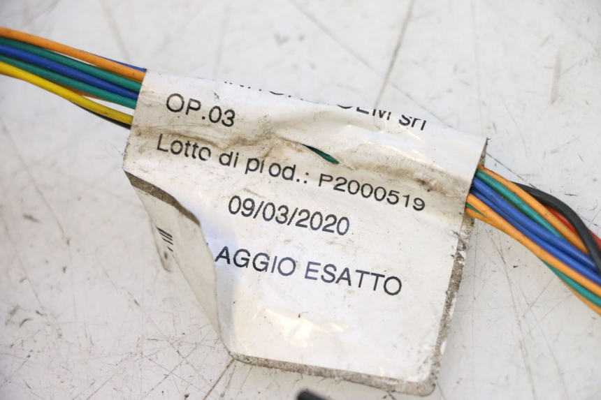 photo de FAISCEAU ASKOLL ESPRO 1 - Détail de la pièce