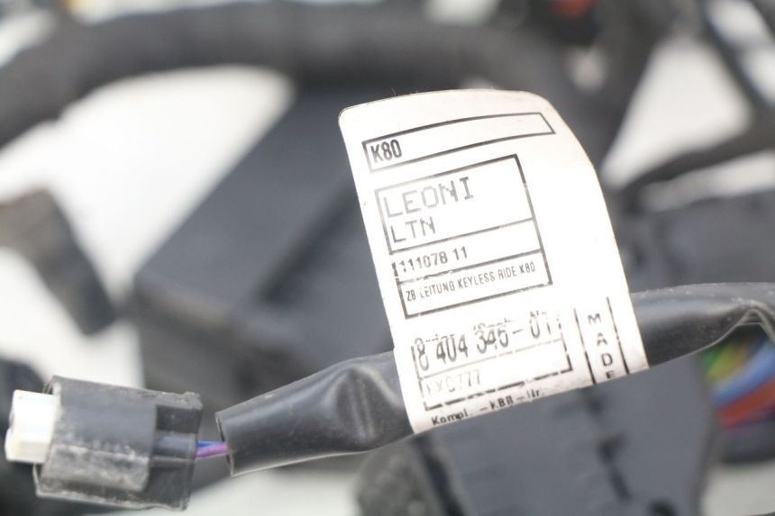 photo de FAISCEAU BMW F GS K81 850 (2018 - 2023) - Détail de la pièce