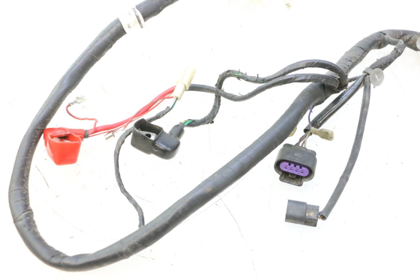 photo de FAISCEAU JM MOTORS F45i 4T 50 (2020 - 2023) - Autre angle de vue