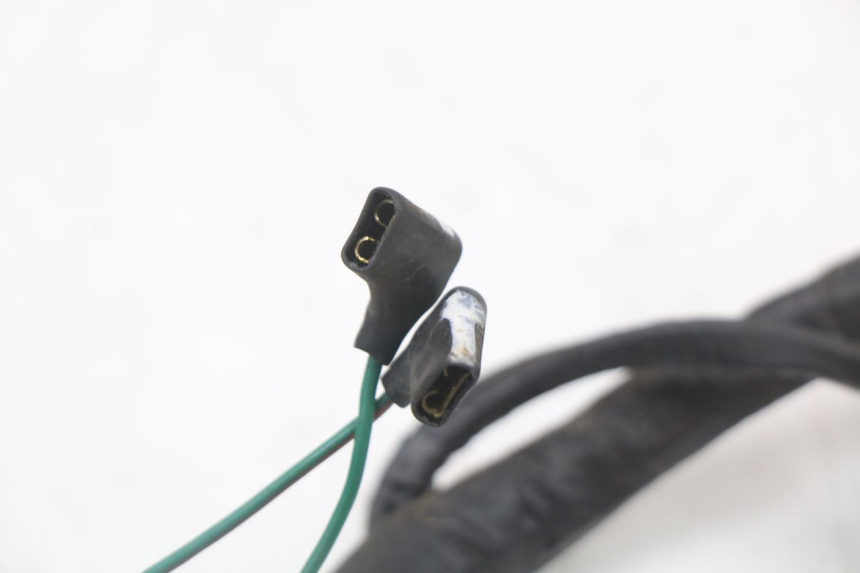 photo de FAISCEAU HONDA FES PANTHEON 2T 125 (1998 - 2002) - Détails caractéristiques