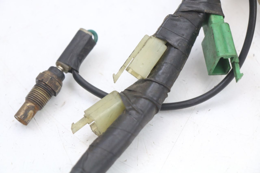 photo de FAISCEAU HONDA FES PANTHEON 2T 125 (1998 - 2002) - Pièce contrôlée