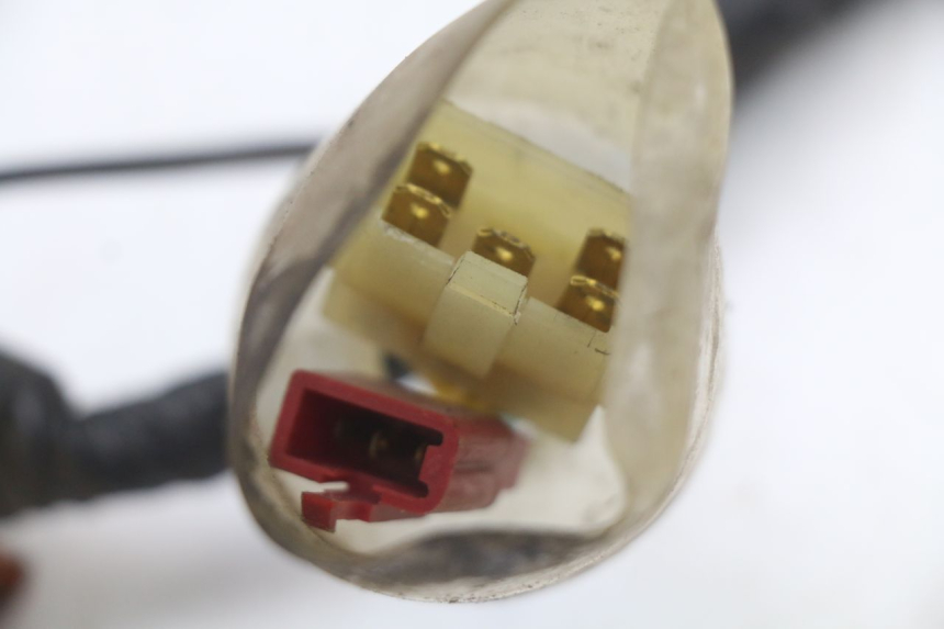 photo de FAISCEAU HONDA FES PANTHEON 2T 125 (1998 - 2002) - Marquages et références