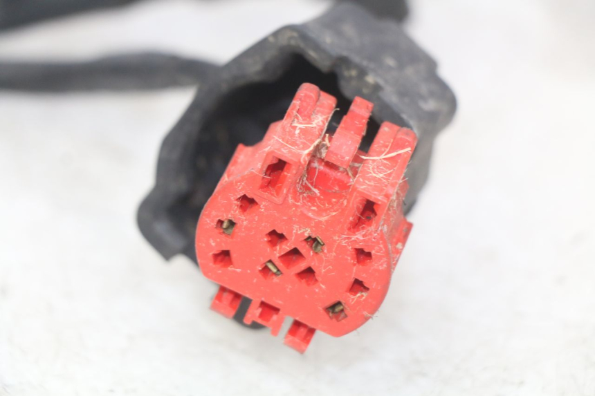 photo de FAISCEAU HONDA FES PANTHEON 125 (2003 - 2007) - Vue rapprochée