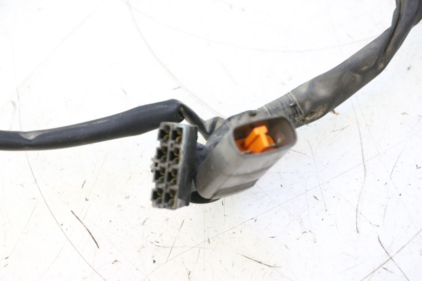 photo de FAISCEAU YAMAHA FJR 1300 (2001 - 2005) - Détails caractéristiques