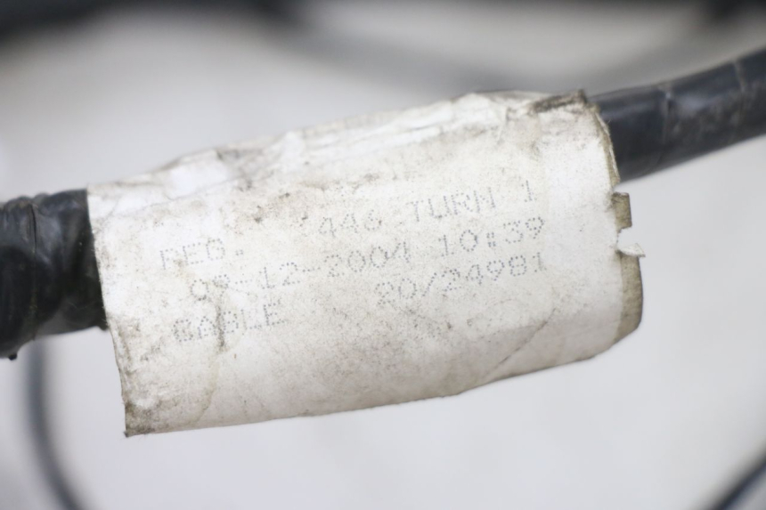 photo de FAISCEAU PIAGGIO FLY 125 (2005 - 2012) - Zoom état d’usage