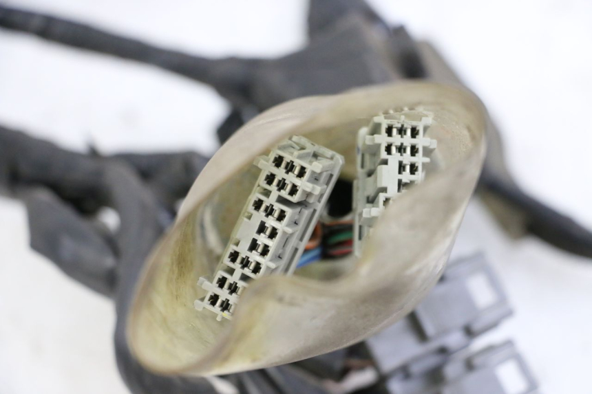 photo de FAISCEAU HONDA FORZA ABS 300 (2013 - 2017) - Gros plan technique