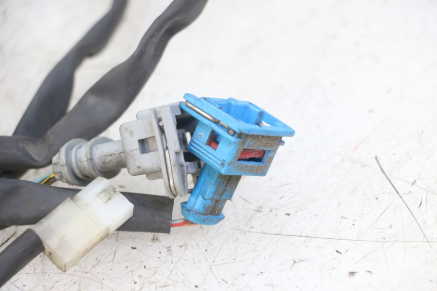 photo de FAISCEAU PEUGEOT GEOPOLIS RS 125 (2007 - 2009) - Détail de la pièce