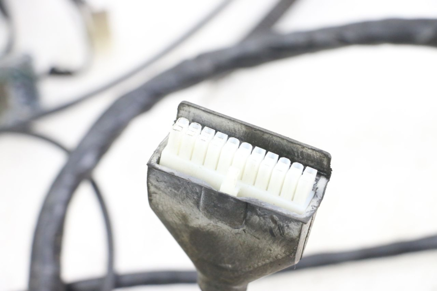 photo de FAISCEAU PEUGEOT GEOPOLIS RS 125 (2007 - 2009) - Zoom état d’usage