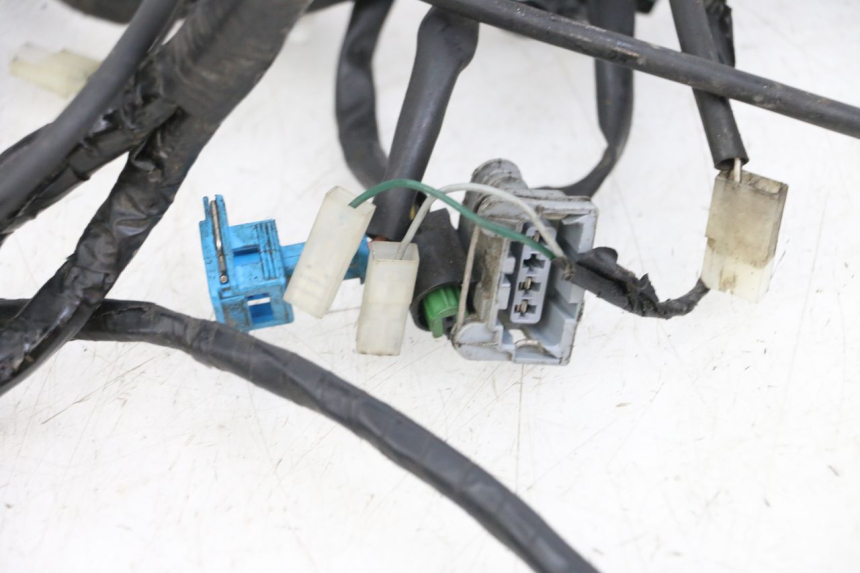 photo de FAISCEAU PEUGEOT GEOPOLIS RS 125 (2007 - 2009) - Gros plan technique