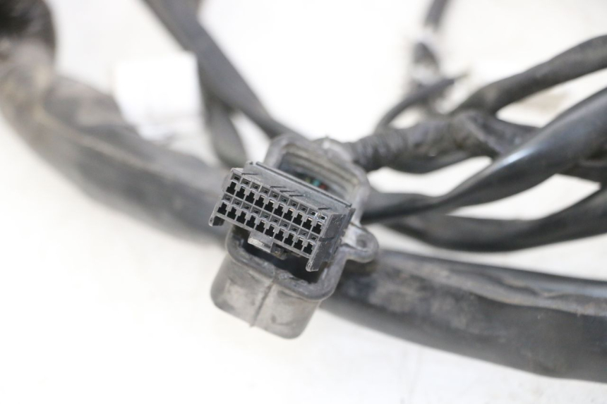 photo de FAISCEAU GILERA NEXUS 300 (2008 - 2013) - Autre angle de vue