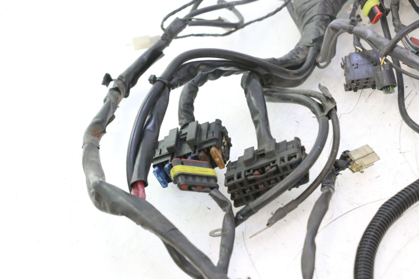 photo de FAISCEAU GILERA GP 800 (2007 - 2013) - Gros plan technique