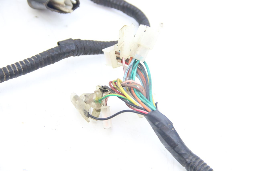 photo de FAISCEAU TNT MOTOR GRIDO 2T 50 (2010 - 2019) - Gros plan technique