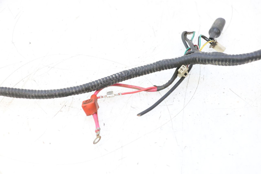 photo de FAISCEAU TNT MOTOR GRIDO 2T 50 (2010 - 2019) - Gros plan technique