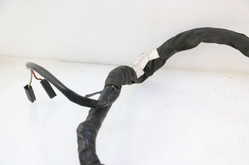 photo de FAISCEAU SUZUKI GSF N BANDIT 1200 (2001 - 2005) - Détails caractéristiques