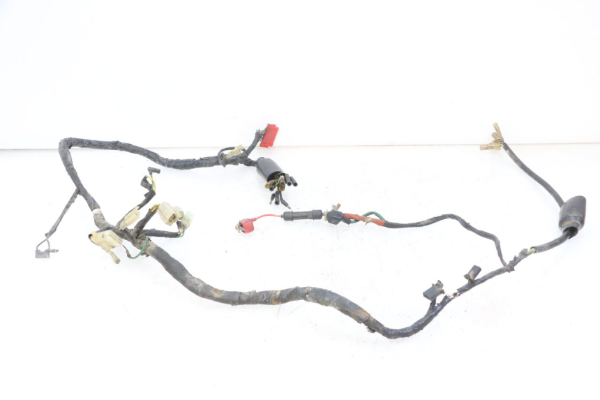 photo de FAISCEAU HONDA MTX TC02 125 (1987 - 1989) - Marquages et références