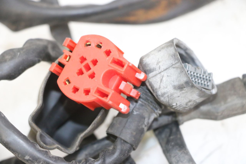 photo de FAISCEAU PIAGGIO IE MP3 YOURBAN 300 (2011 - 2016) - Marquages et références