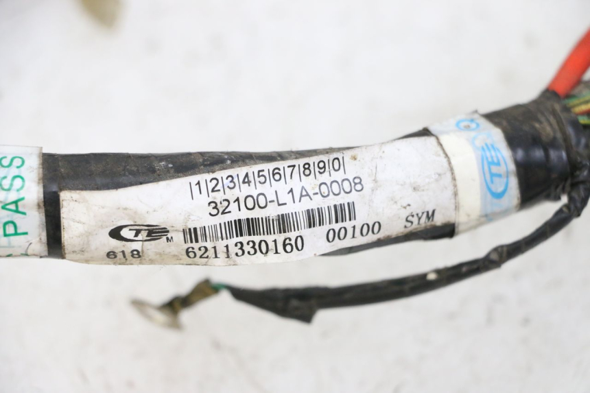 photo de FAISCEAU SYM JOYMAX 125 (2010 - 2017) - Marquages et références