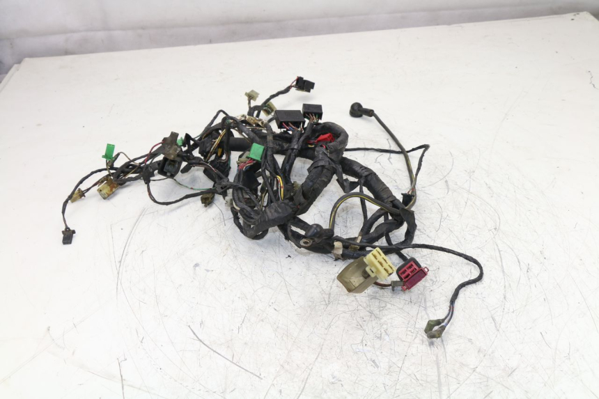 photo de FAISCEAU KAWASAKI ZZR 600 (1995 - 2004) - Gros plan technique