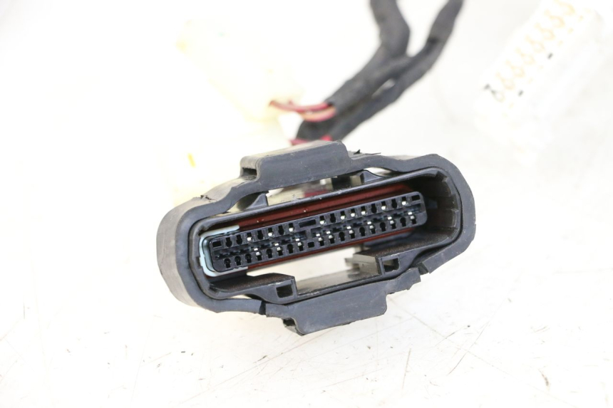 photo de FAISCEAU KIDEN KD125-G 125 (2018 - 2022) - Marquages et références