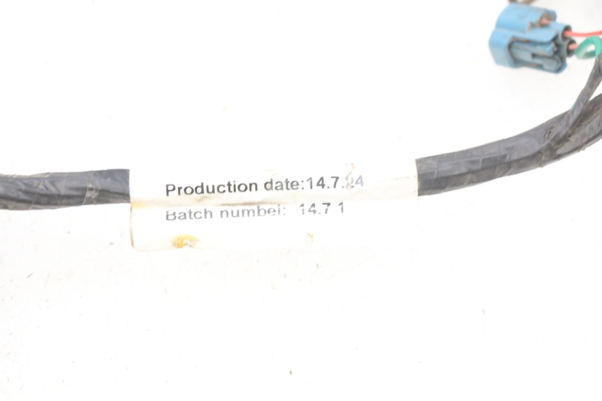 photo de FAISCEAU PEUGEOT KISBEE 2T 50 (2010 - 2017) - Détail de la pièce