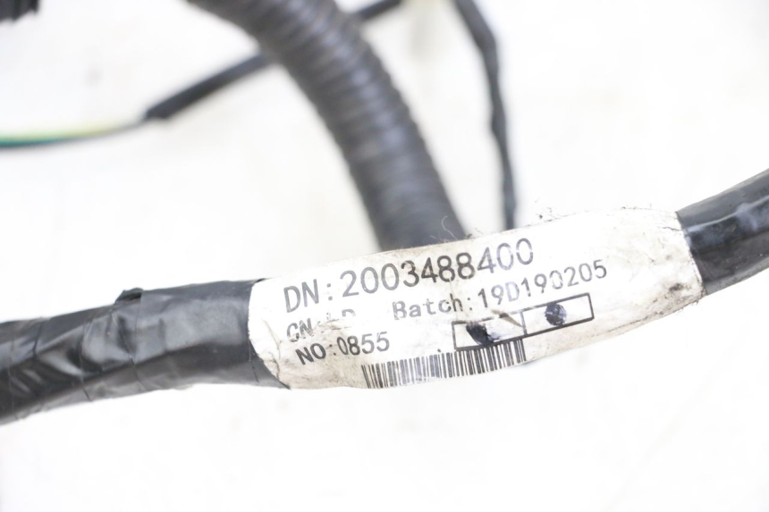 photo de FAISCEAU PEUGEOT KISBEE 2T 50 (2018 - 2022) - Détail de la pièce