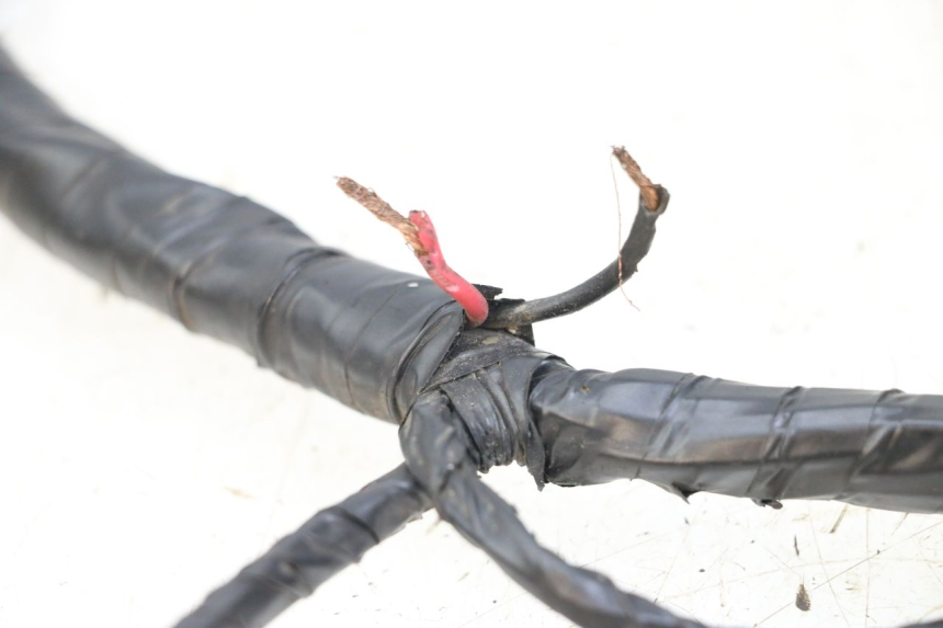 photo de FAISCEAU PEUGEOT KISBEE 2T 50 (2018 - 2022) - Pièce contrôlée