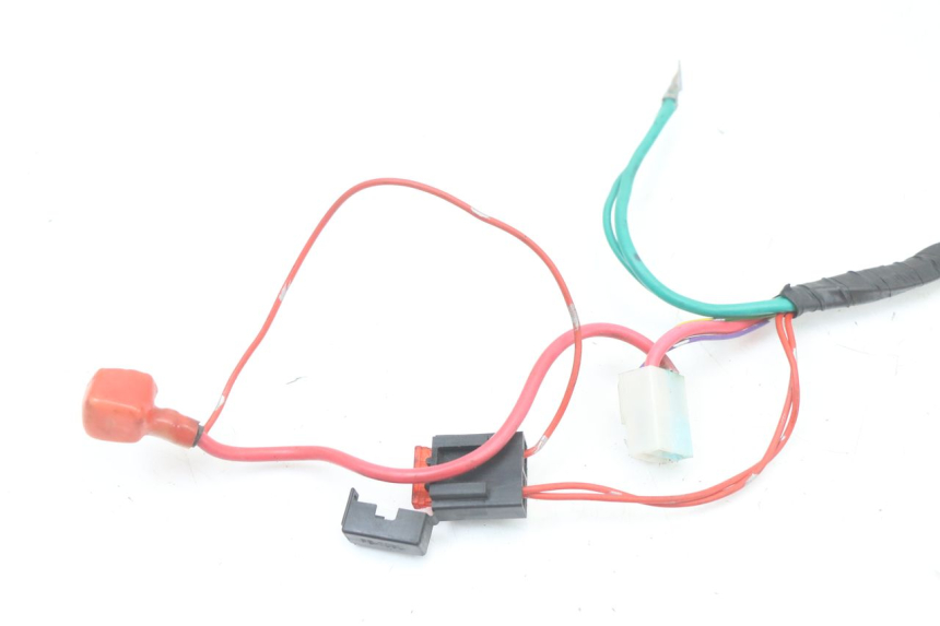 photo de FAISCEAU PEUGEOT KISBEE 4T 50 (2010 - 2017) - Vue d’ensemble