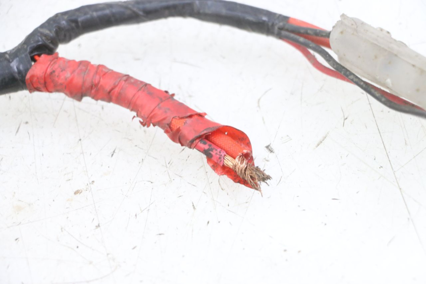 photo de FAISCEAU KYMCO DINK 4T 50 (2007 - 2018) - Vue d’ensemble