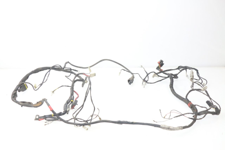 photo de FAISCEAU PIAGGIO LIBERTY 4T 50 (2004 - 2008) - Vue d’ensemble