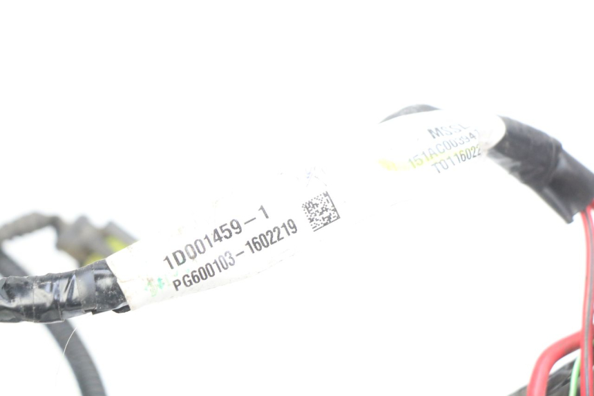 photo de FAISCEAU PIAGGIO LIBERTY IGET 4T 50 (2015 - 2020) - Vue d’ensemble